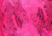 h7433a.jpg