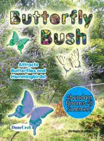 butterflybush.jpg