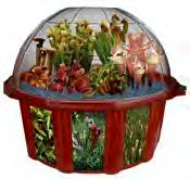 carnivorous-dome-growing.jpg