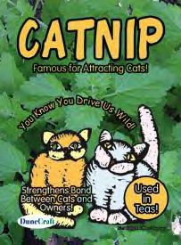 catnip.jpg