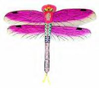 dragonfly-pk.jpg