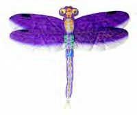 dragonfly-pl.jpg