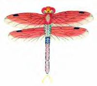 dragonfly-rd.jpg