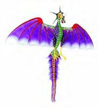 flydragon-pl.jpg