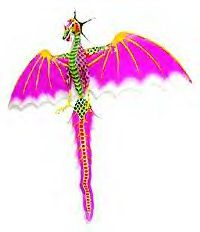 flydragonkite-pk.jpg
