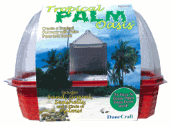 newpalm.gif